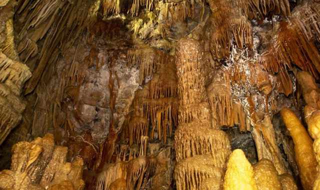 Altamura, tra "cattedrali" e "polpi" la discesa nella magnifica Grotta Torre di Lesco
